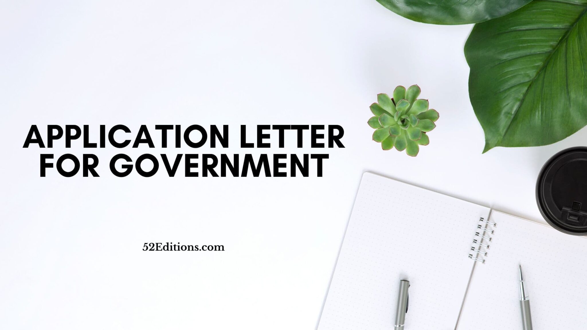 write a government application letter
